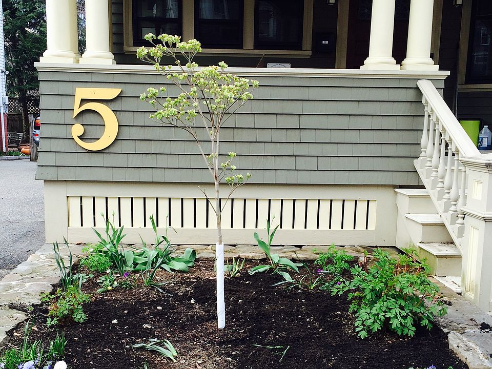 Front yard 2015