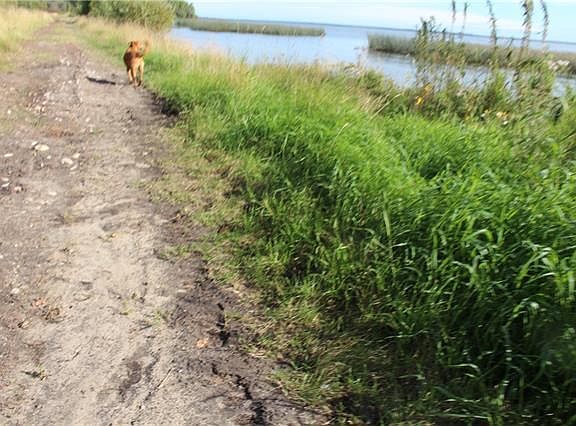 5th image of 7 Campsite Rd #8