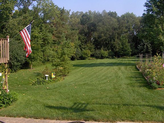 Back yard