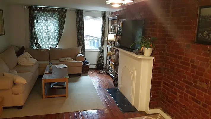 Rented by Rapid Realty Cobble Hill | media 19