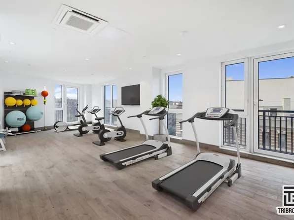 17 Somers Street image 15 of 16