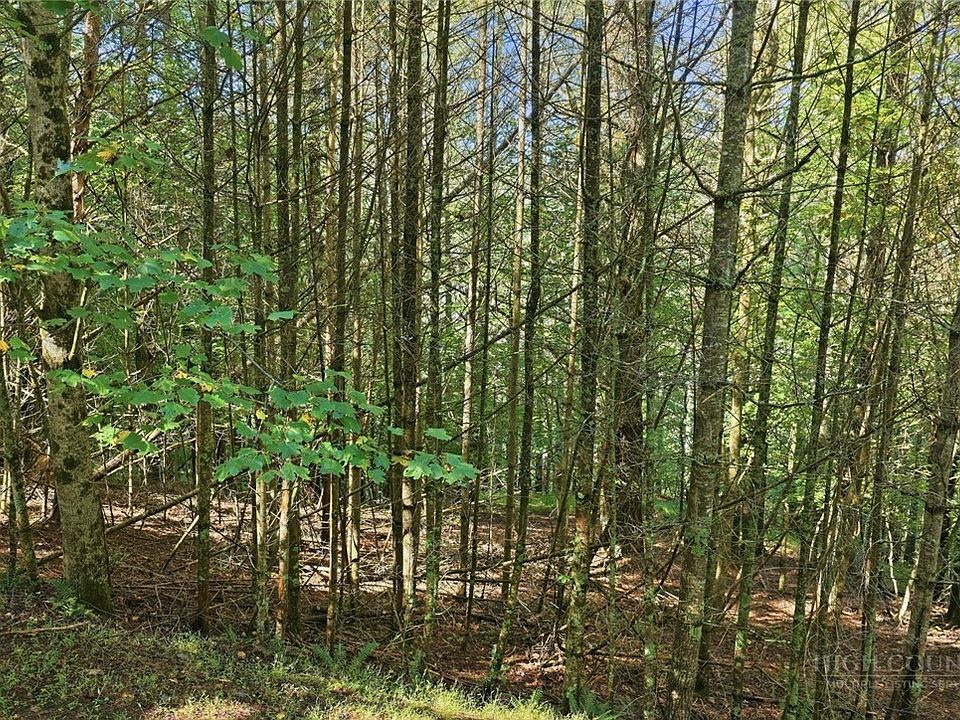 1st image of Lot 45 S Turkey Ridge Road
