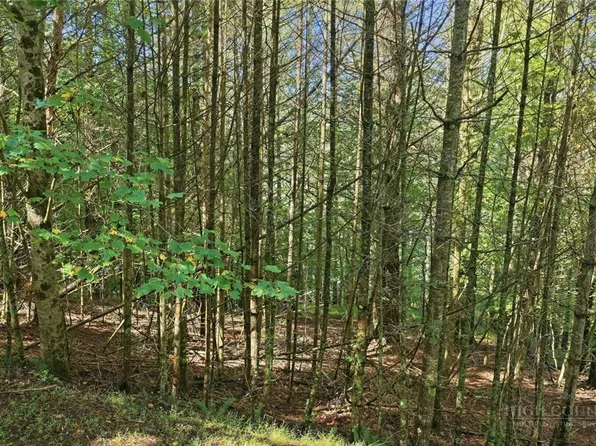 Lot 45 S Turkey Ridge Road, Lansing, NC 28645