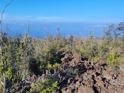 Reef Circle Mauka, Captain Cook, HI, 96704