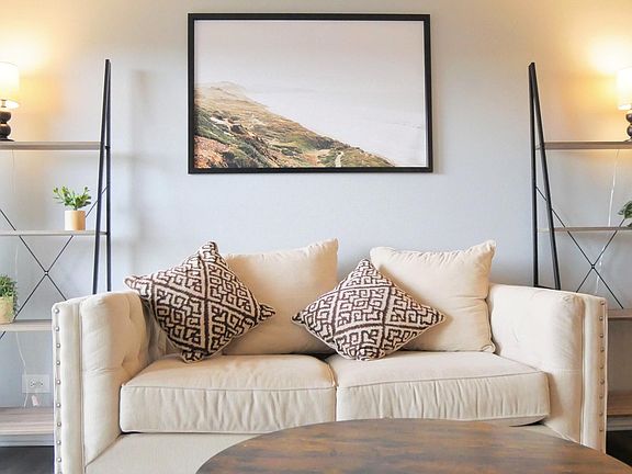 Living Room Couch