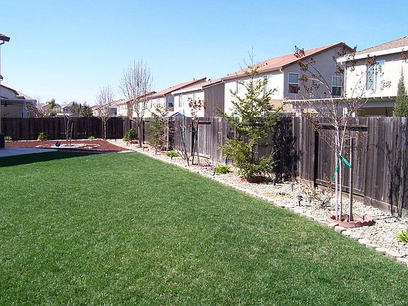 Great Backyard