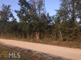 0 N Steele Dr, Hampton, GA 30228