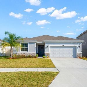 1376 Zion Arches Ln, Wesley Chapel, FL, 33543