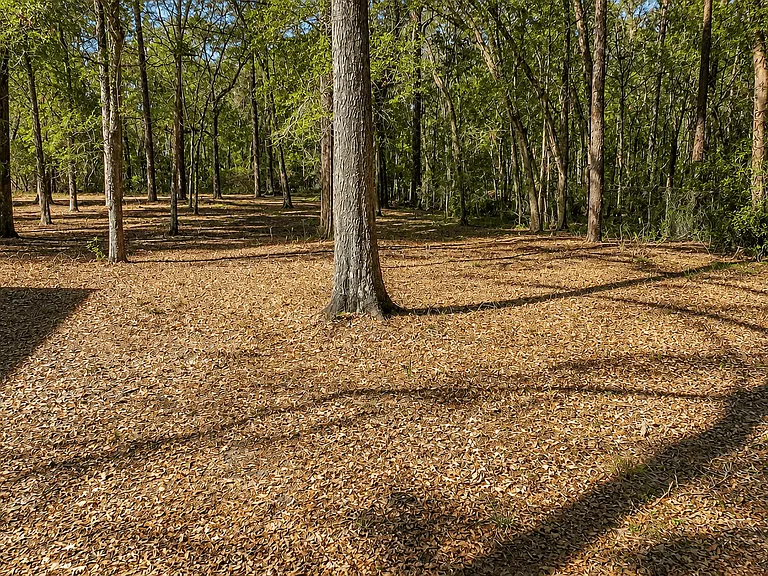 Treebecka Park — Photo 18