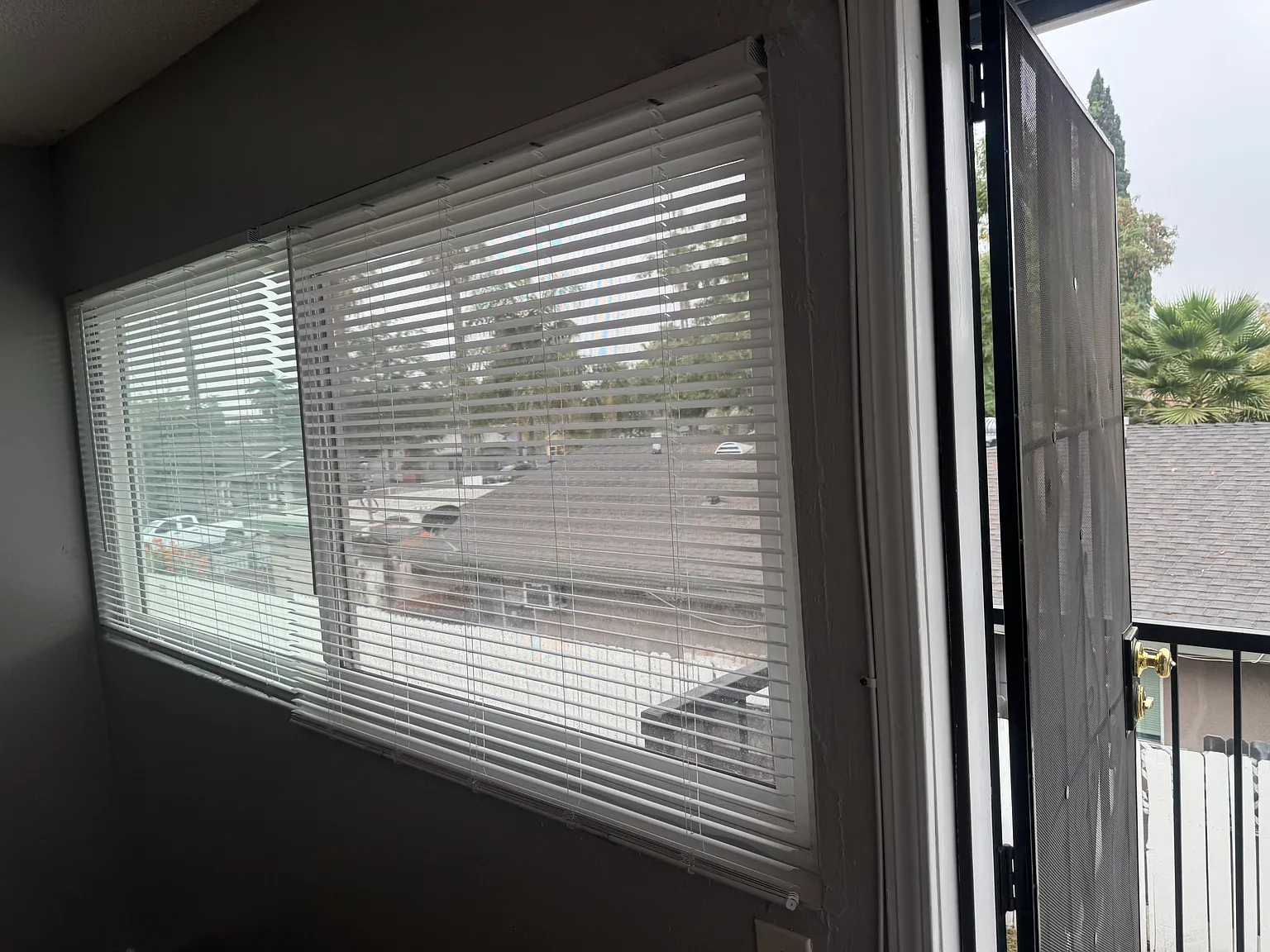 1 bed, $1,600 — Photo 4
