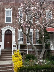 477 Crown St, Brooklyn, NY, 11225