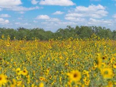 1434 County Road 313, Gouldbusk, TX, 76845
