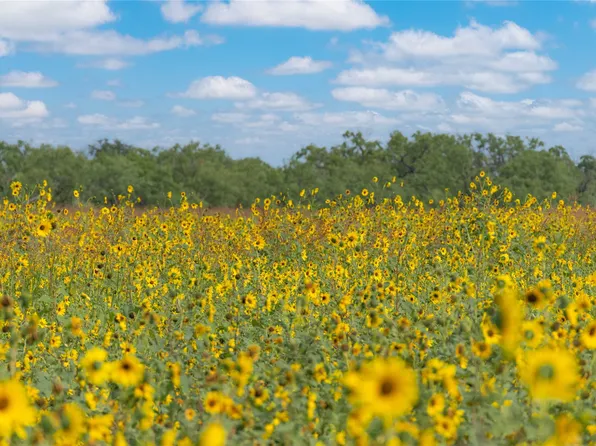 1434 County Road 313, Gouldbusk, TX 76845