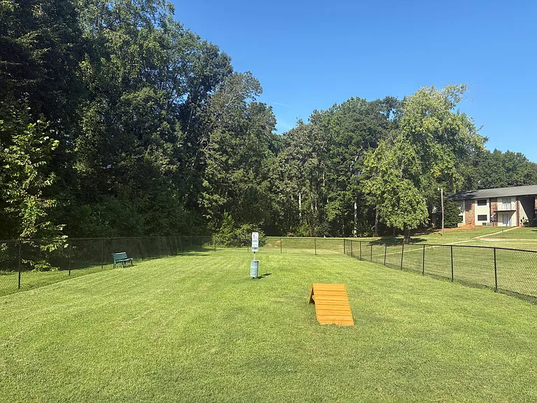 Dog Park