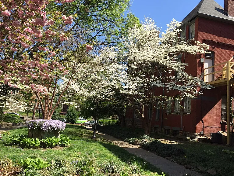 1432 S. 4th Street — Photo 12