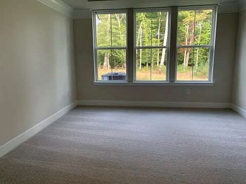 32044 White Tail Dr — Photo 18
