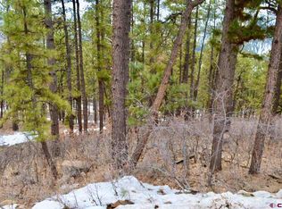 184 Deer Ridge Dr, Bayfield, CO 81122