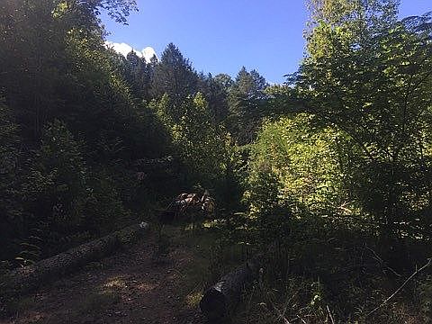 1st image of 249 Adams Ln