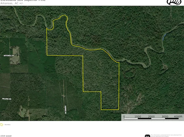 0 Mitchell Ln Lot Wp001, Kingsland, AR 71652