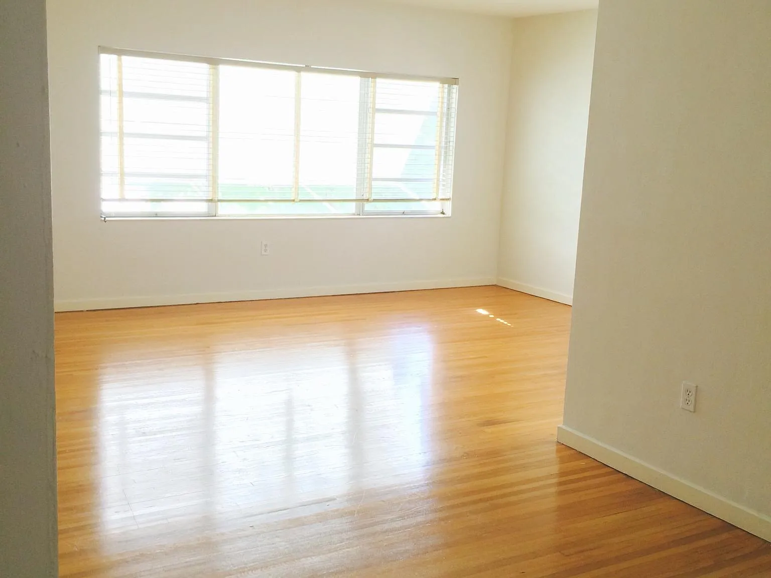 3703 Ponce De Leon Boulevard — Photo 3