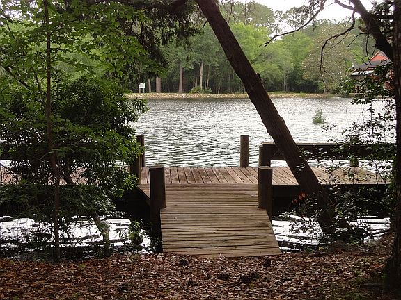 5th image of 16675 County Road 9