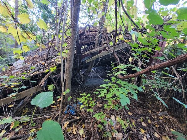 detroit-michigan-88294099 picture