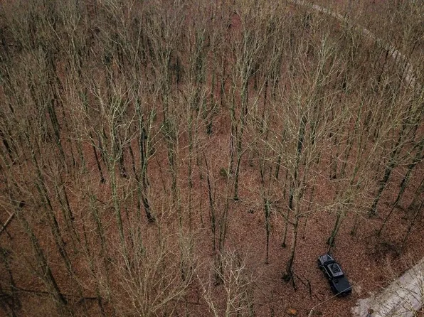 Grouse Ridge Rd, Harriman, TN 37748