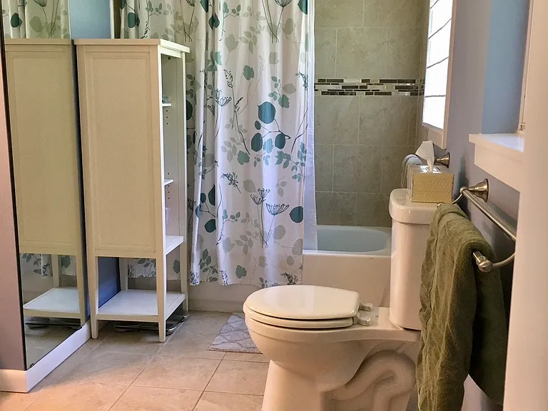 Master bathroom