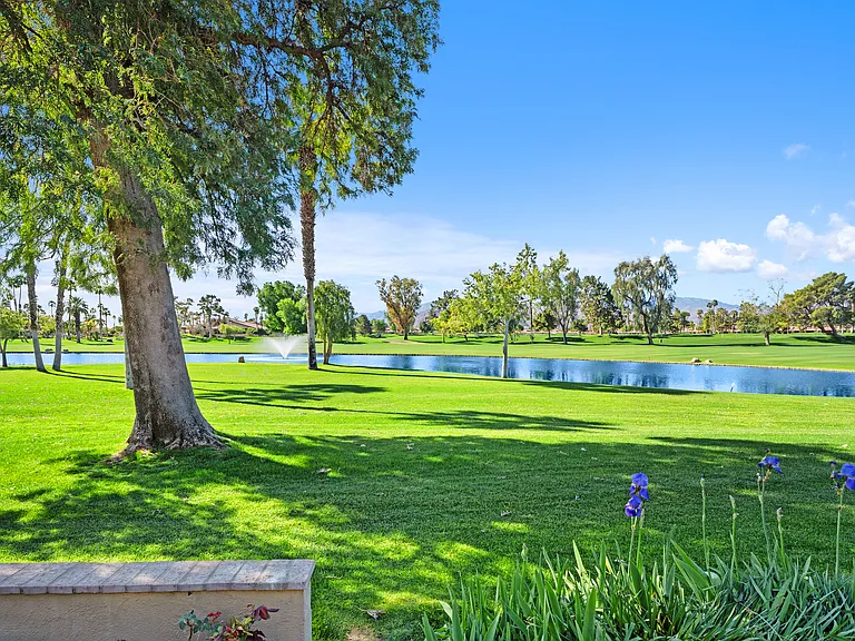 View from the outdoor patio