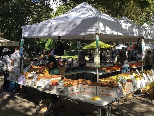 Rented by Corcoran | media 13