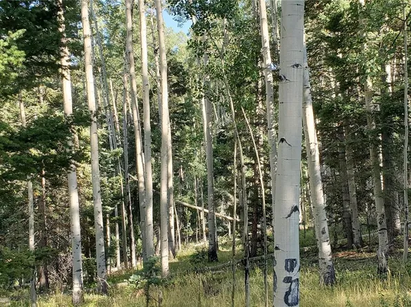 5174 Mo Road LOT 5174, Fort Garland, CO 81133