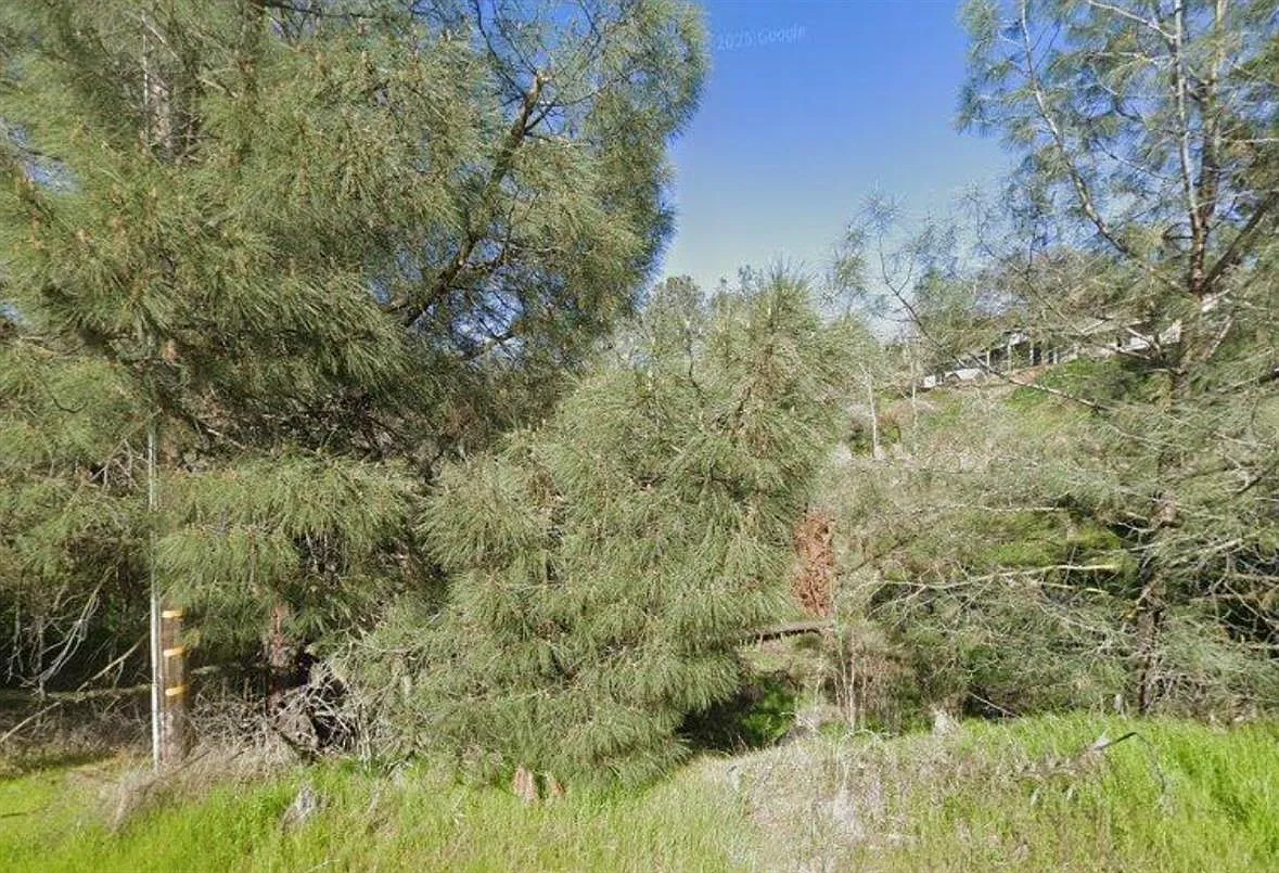 8745 Hautly Ln photo 1