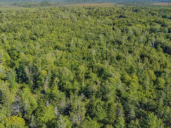 4th image of Ruel Du Lac Gaspereau