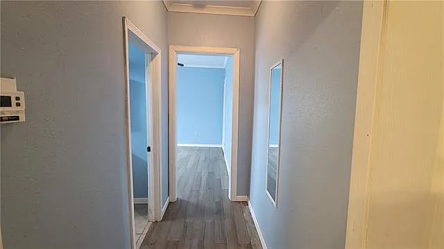 2019 Louisa St — Photo 6