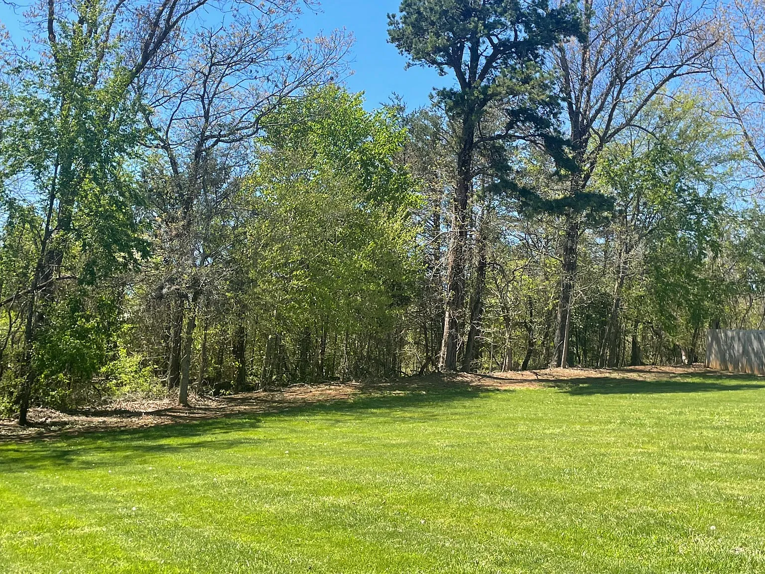 3 bed, 1700 sqft, $2,100 — Photo 4