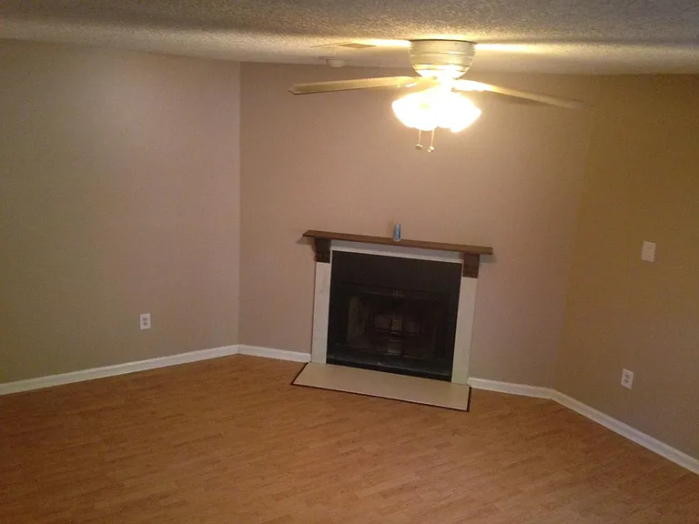 Living room with fireplace