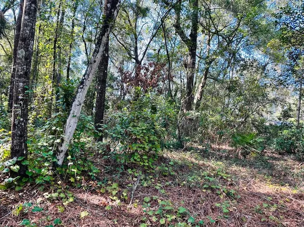 NW 55th Pl, Chiefland, FL 32626