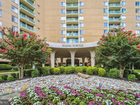 501 Slaters Ln APT 316, Alexandria, VA 22314