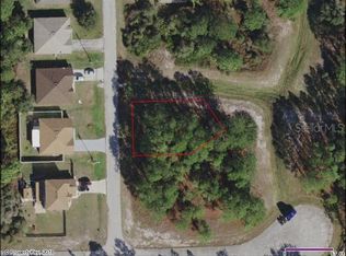 1221 Wahneta Ct, Poinciana, FL 34759