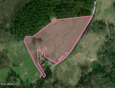 2 Mowdy Rd, Walnut Grove, MS, 39189