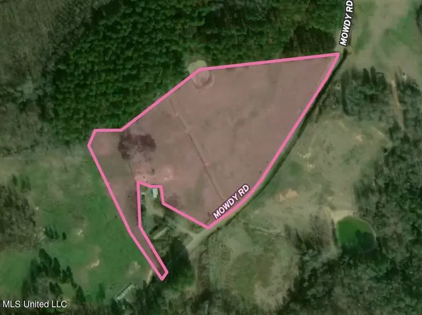2 Mowdy Rd, Walnut Grove, MS 39189