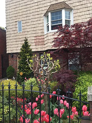 Rented by Amorelli Realty | media 30