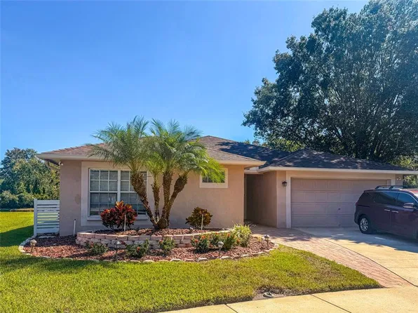 19145 GOLDEN CACOON PLACE, LUTZ, FL 33558