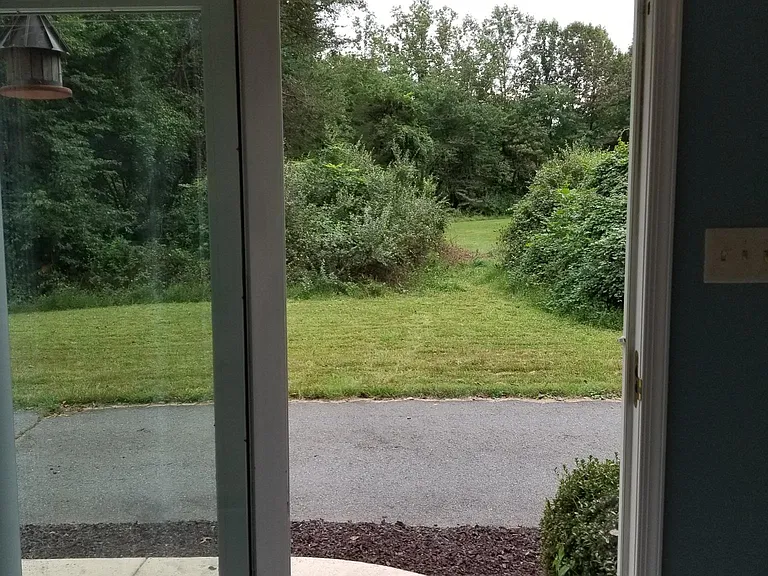 Kitchen looks out on very quiet Fairfax County park.