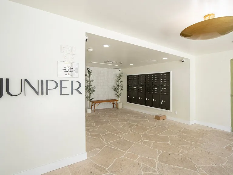 Juniper — Photo 60
