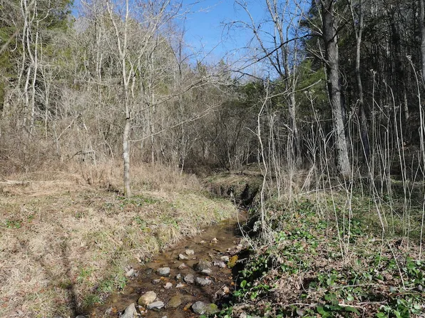 Dean Rd Lot Wp001, Rose Hill, VA 24281