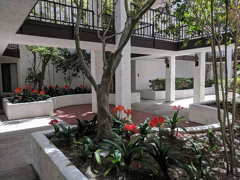 3525 Lebon Dr — Photo 16