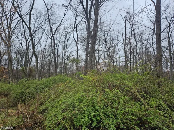 9 Hilltop Rd, West Amwell Twp., NJ 08551