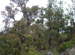 92 8471st #28, Captain Cook, HI 96704