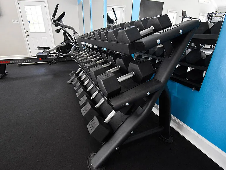 Free Weights